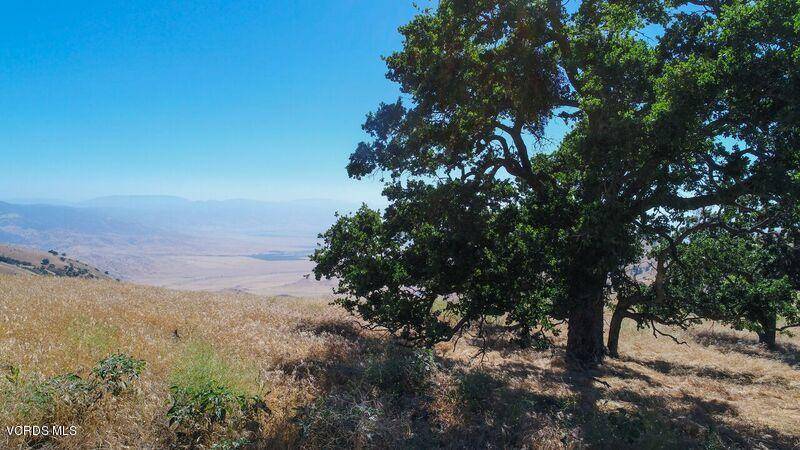 Tehachapi, CA 93561,18081 Tejon #Lot 88