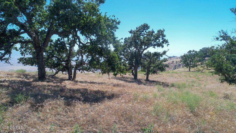 Tehachapi, CA 93561,18081 Tejon #Lot 88