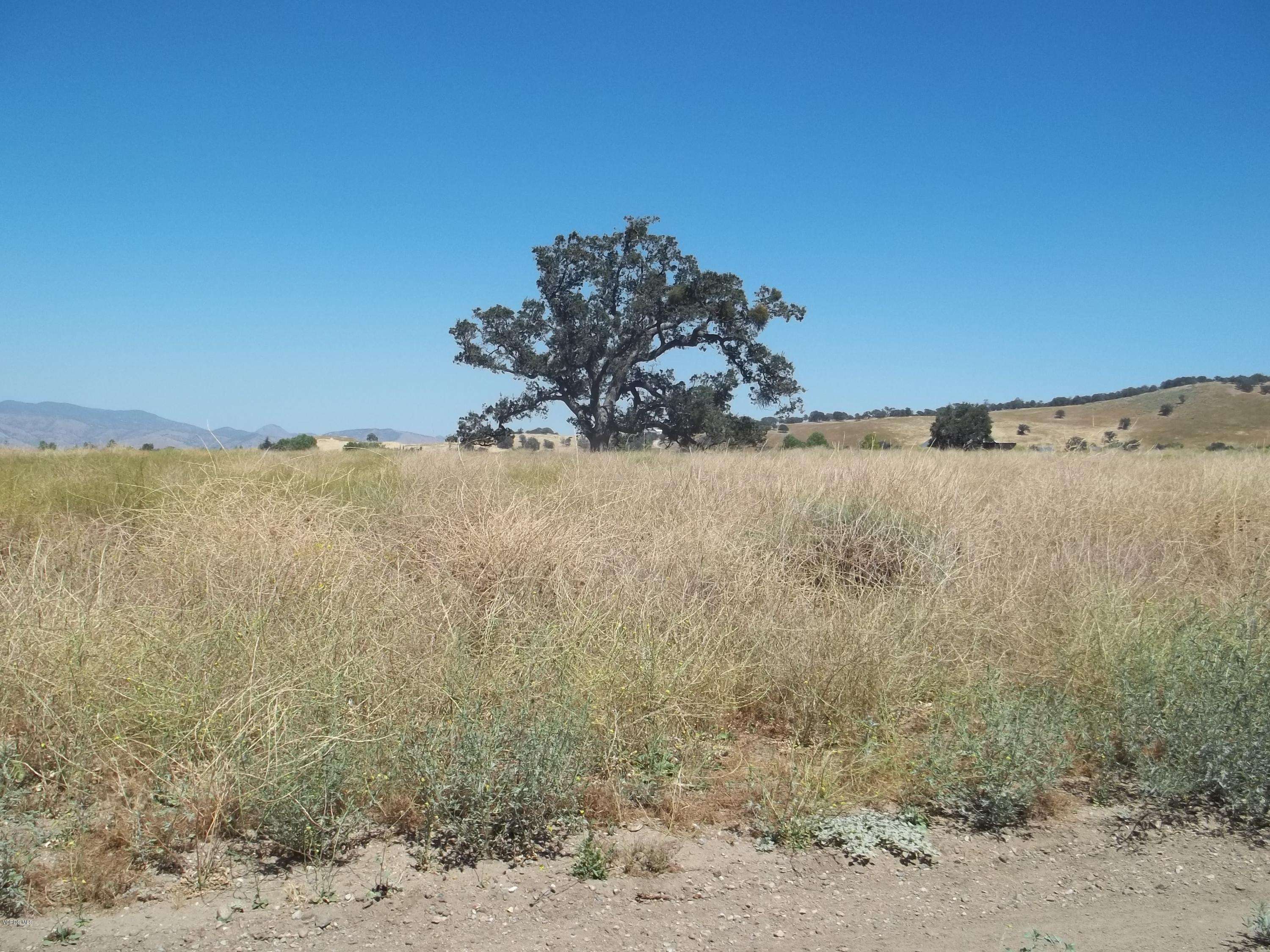 Tehachapi, CA 93561,Banducci Road