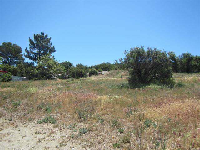 Campo, CA 91906,Canadian Honker