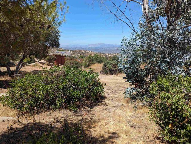 Alpine, CA 91901,3910 Carveacre Road