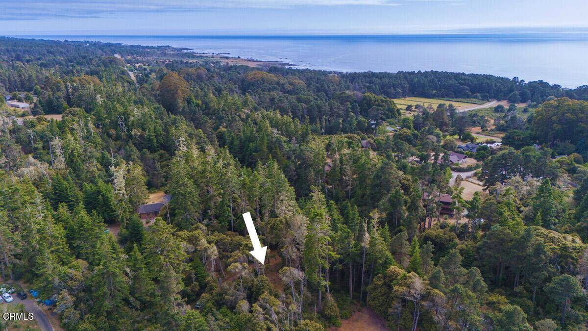 Fort Bragg, CA 95437,17536 East Kirtlan Way