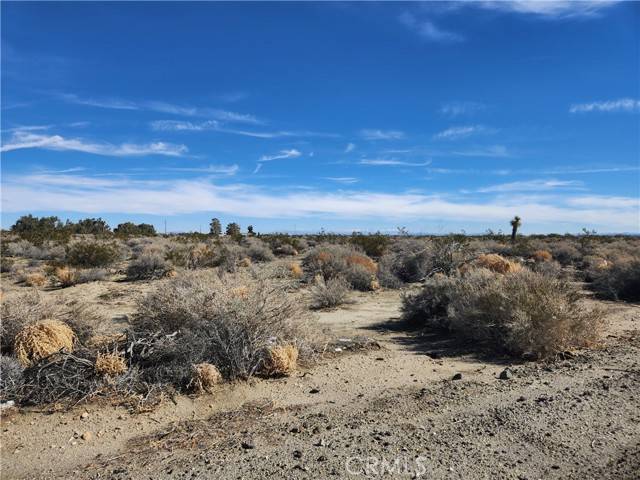 El Mirage, CA 92301,0 El Mirage/Sheepcreek Road