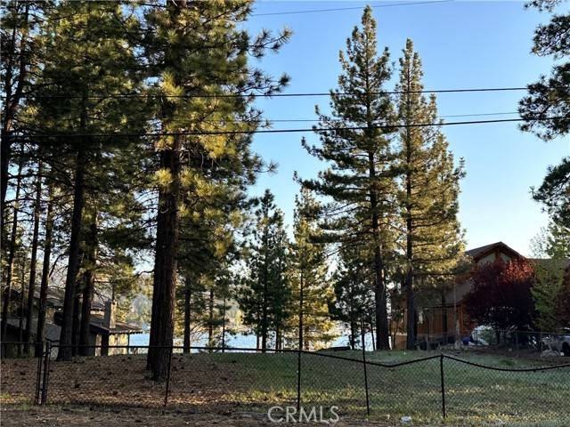 Big Bear Lake, CA 92315,169 Eagle Drive