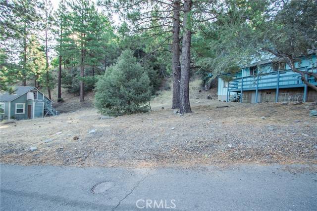 Wrightwood, CA 92397,0 E Canyon Dr