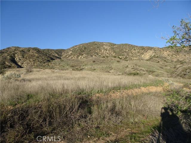 Mentone, CA 92359,33746 Fish Hatchery Road