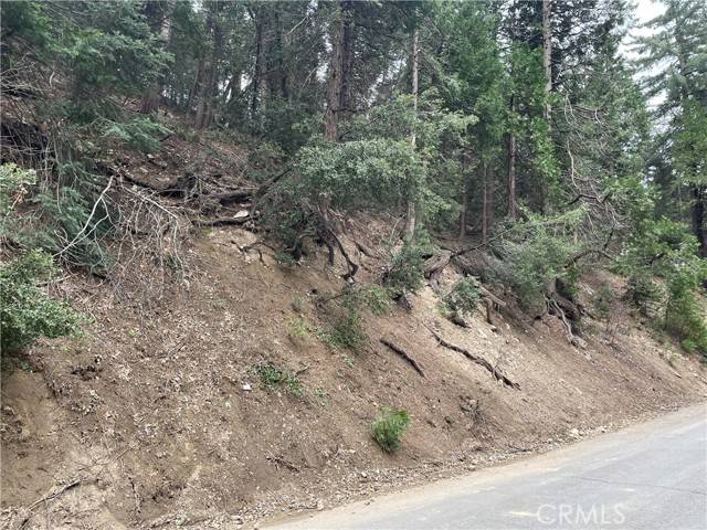 Crestline, CA 92325,25091 Valle Drive