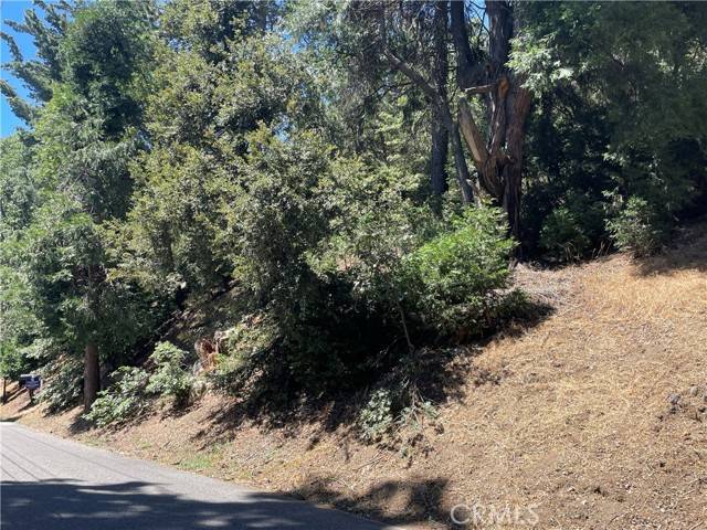 Cedarpines Park, CA 92322,16 Lot 16 Sawpit Canyon Road