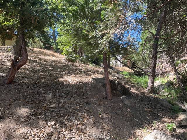 Rimforest, CA 92378,45 Lot 45 Scenic Way