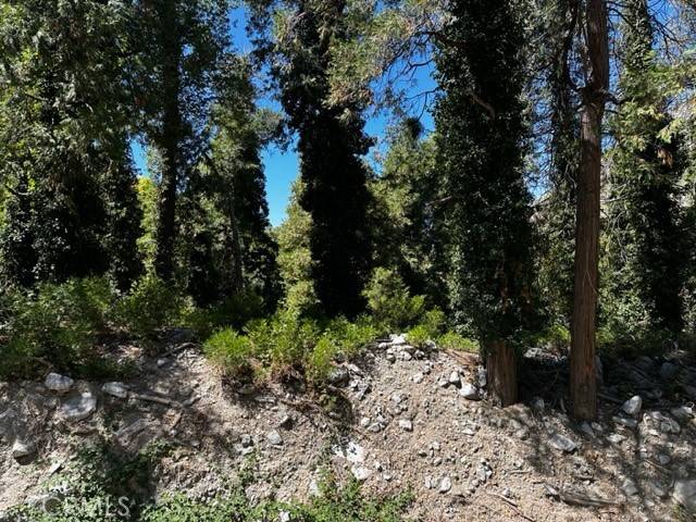 Forest Falls, CA 92339,0 Fern