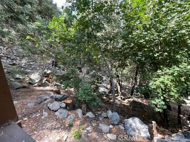 Forest Falls, CA 92339,9592 Snowdrift Drive