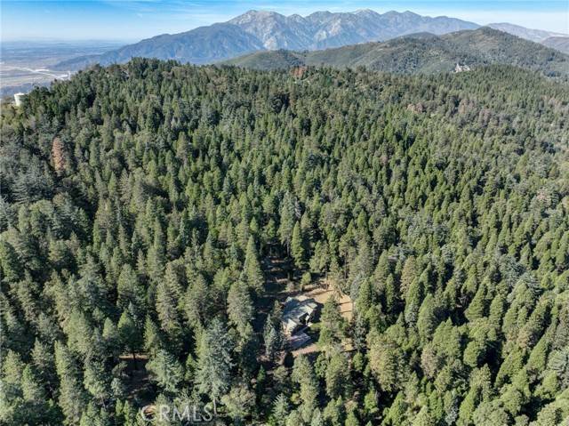 Cedarpines Park, CA 92322,22307 Crest Forest Drive