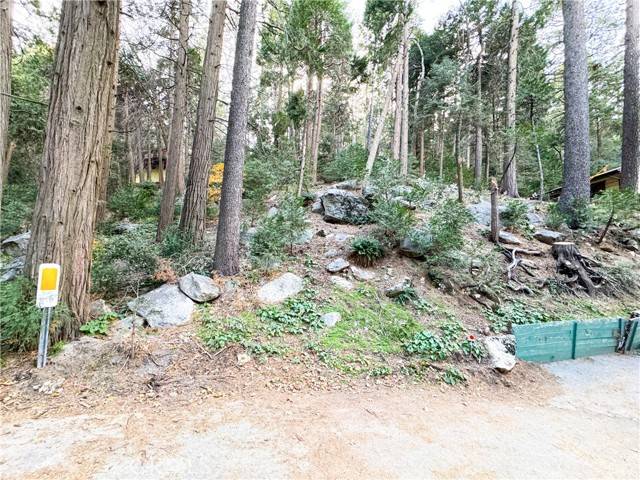 Crestline, CA 92325,0 Bernard Drive