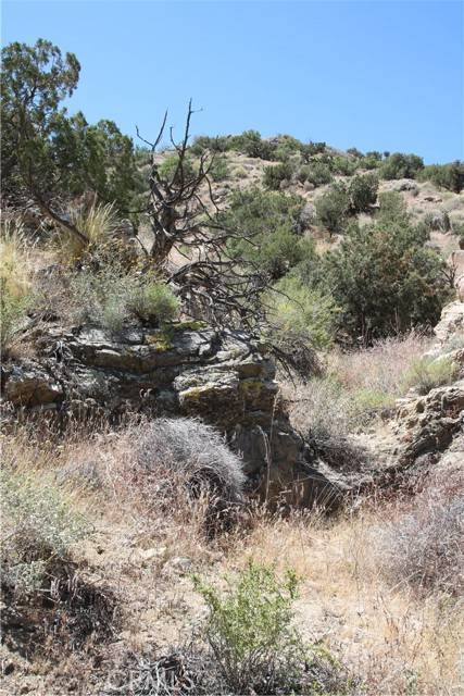 Morongo Valley, CA 92256,37 Lot 37 Samel Road