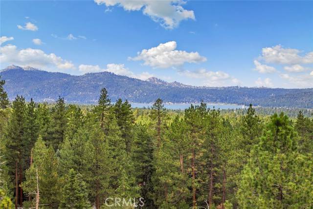 Big Bear Lake, CA 92315,43427 Ridgecrest Drive