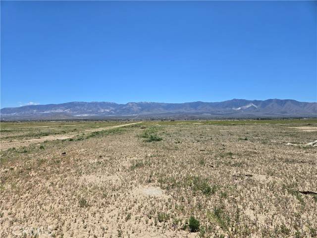 Lucerne Valley, CA 92356,0 Wilderness Road