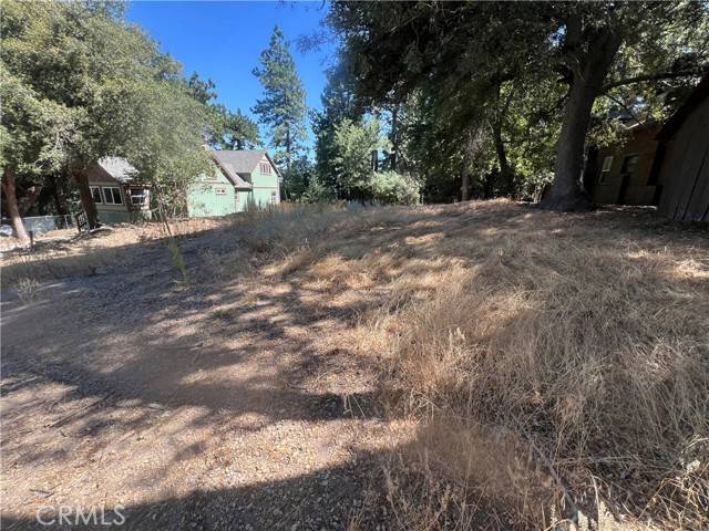 Crestline, CA 92325,23123 Snowberry Lane