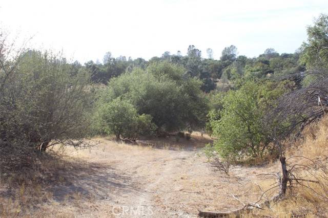 Coarsegold, CA 93614,45945 Hawk Lane