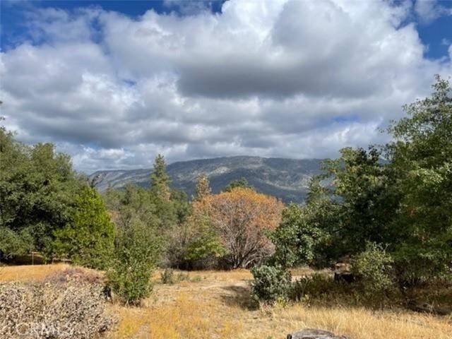 North Fork, CA 93643,56770 Wild Plum Lane