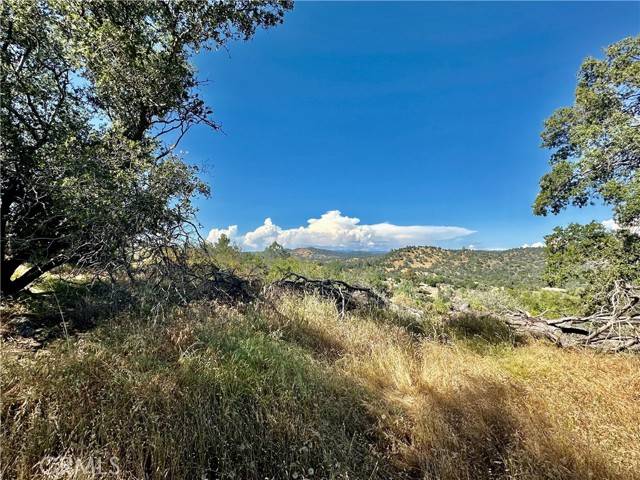 Coarsegold, CA 93614,0 Corral Drive