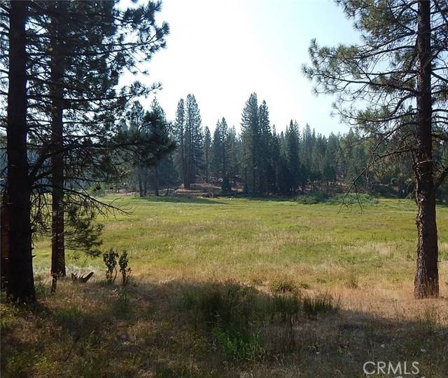 North Fork, CA 93643,49 S Meadow Lane