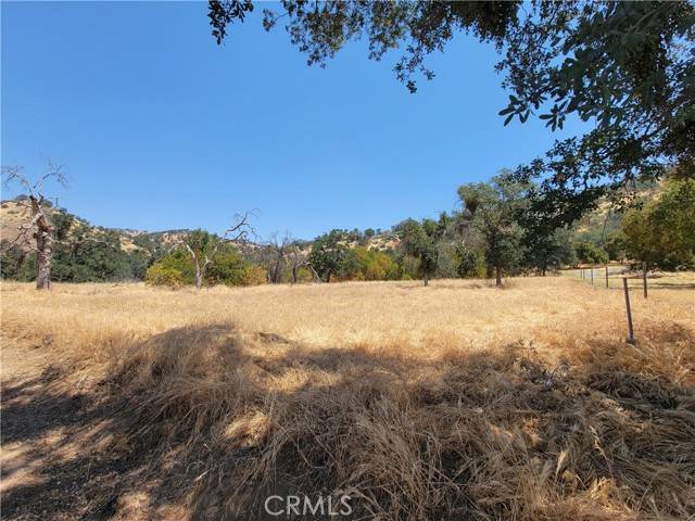 Squaw Valley, CA 93675,0 Clover Lane