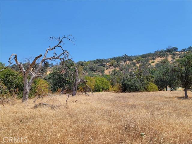 Squaw Valley, CA 93675,0 Clover Lane