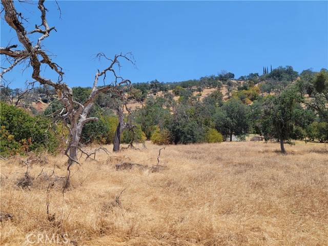 Squaw Valley, CA 93675,0 Clover Lane