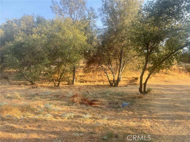 Coarsegold, CA 93614,0 Long Hollow Drive