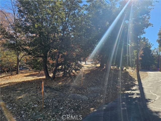 Lake Arrowhead, CA 92352,0 Edgecliff Drive