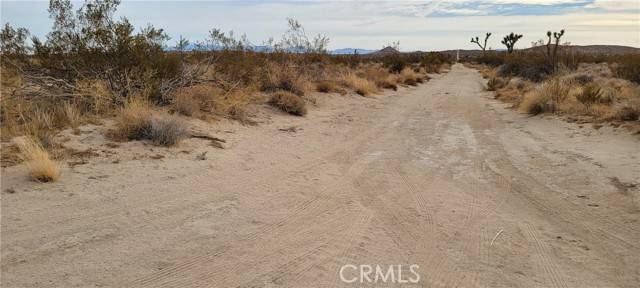 Mojave, CA 93560,0 Sopp