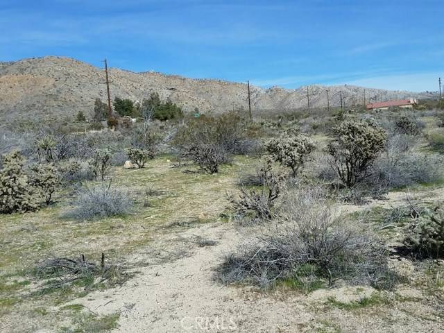 Morongo Valley, CA 92256,0 29 Palms Highway