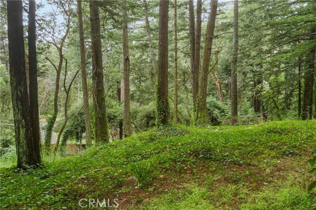 Woodside, CA 94062,203 Huckleberry Trail