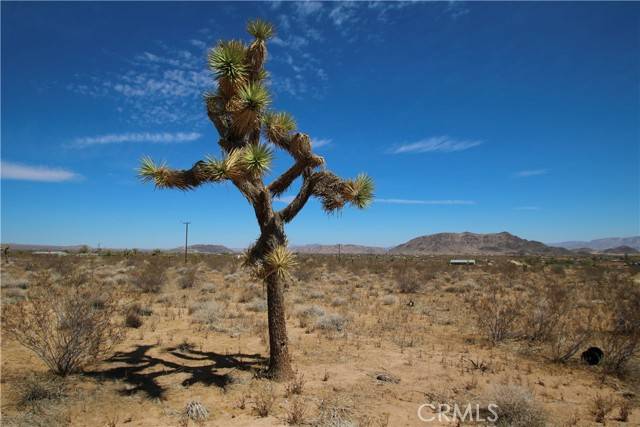 Landers, CA 92284,480 Bonita Avenue