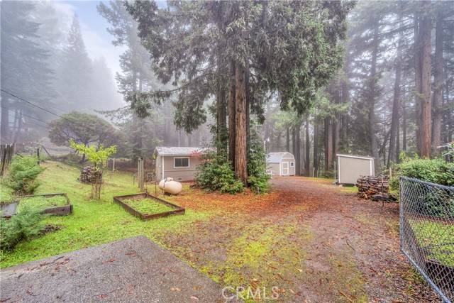 Willits, CA 95490,2556 Buckeye Road