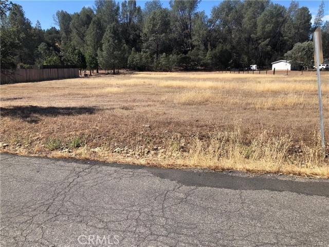 Clearlake Oaks, CA 95423,3025 Spring Valley Road