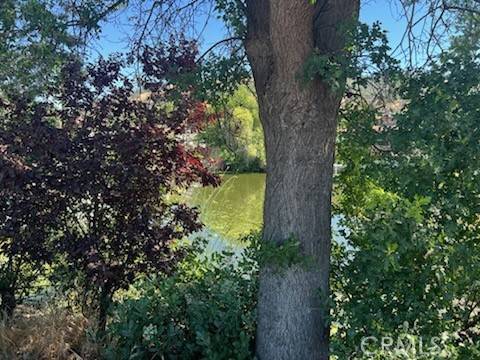 Clearlake Oaks, CA 95423,13218 Ebbtide