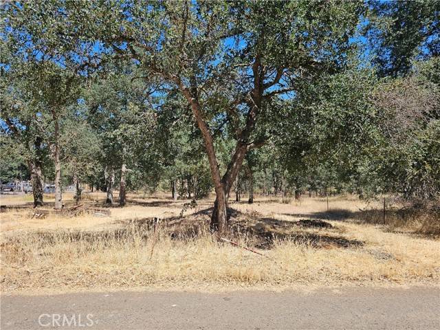 Clearlake, CA 95422,16245 14th Avenue