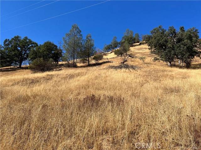 Clearlake Oaks, CA 95423,1988 New Long Valley Road