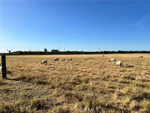 Chowchilla, CA 93610,0 Avenue 23 1/2