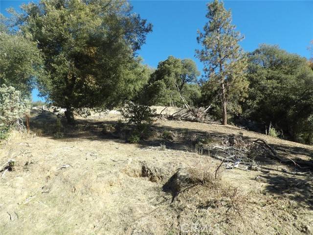 Oakhurst, CA 93644,0 Lot 18 E Sugarpine Drive