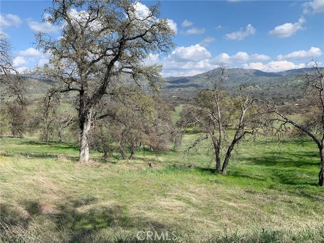 Catheys Valley, CA 95306,3288 Blue Oak Drive