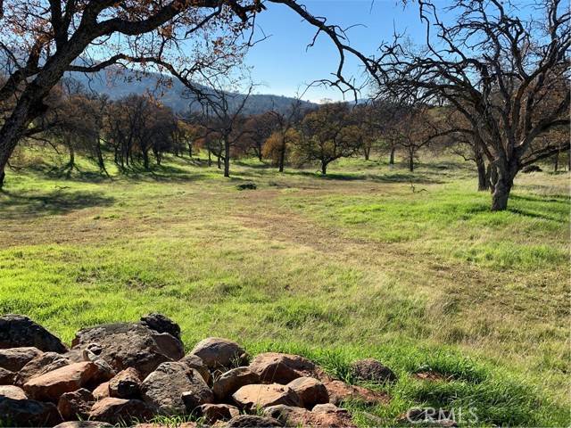 Catheys Valley, CA 95306,3295 Blue Oak Drive