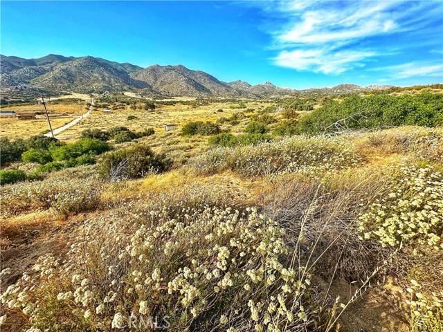 Ranchita, CA 92066,28391 Skyway Drive