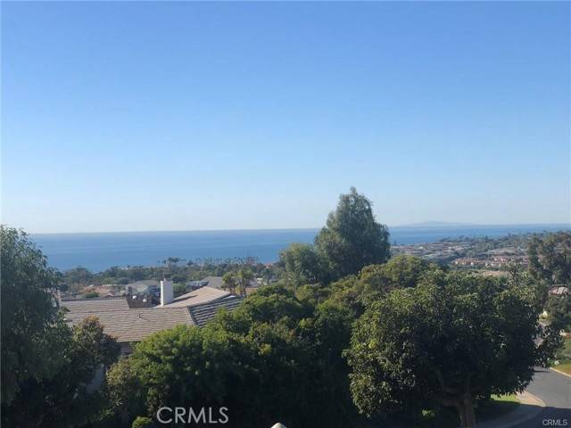 Dana Point, CA 92629,33535 Vista Colina