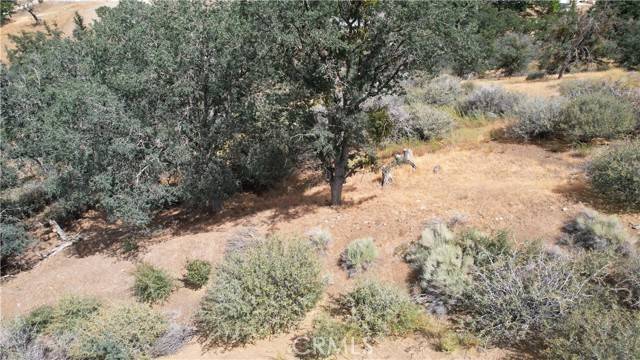 Tehachapi, CA 93561,0 Lusanne Court