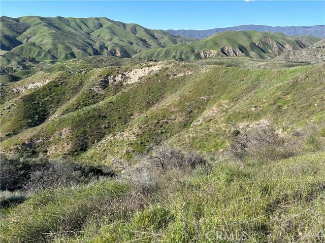 Agua Dulce, CA 91351,0 none