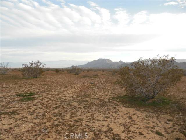 Lucerne Valley, CA 92356,1223 Lorraine@Larjoe