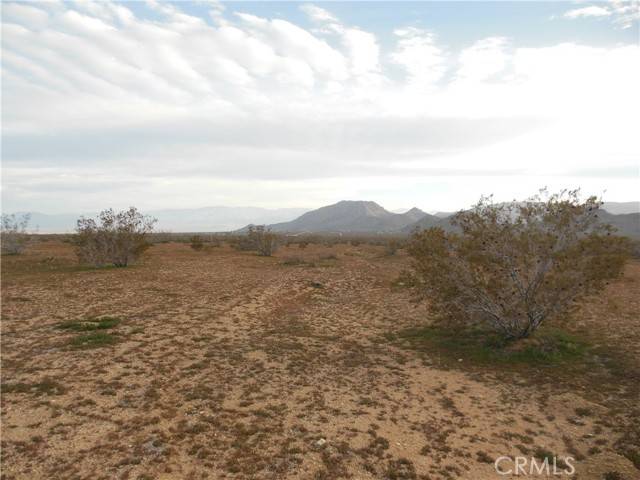 Lucerne Valley, CA 92356,1222 Lorraine