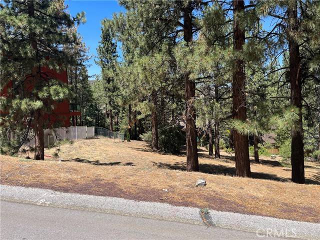 Wrightwood, CA 93544,23111 Cardinal Drive